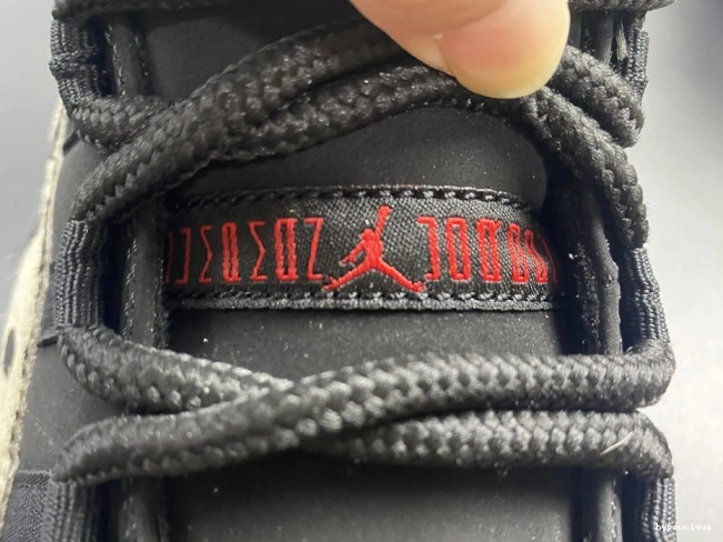 HYPE 11 INSTINCT AR0715-010 ANIMAL JORDAN AIR 0812